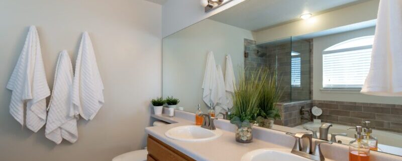 Bathroom counter and mirror